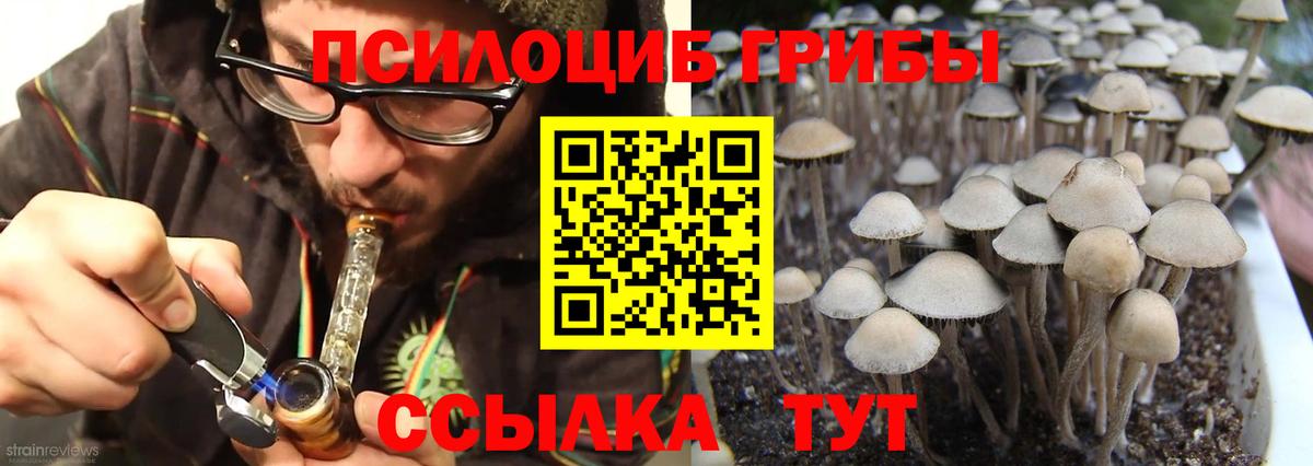 Галлюциногенные грибы Magic Shrooms  Вход с VPN  Кудрово  Псилоцибиновые грибы ЛСД 